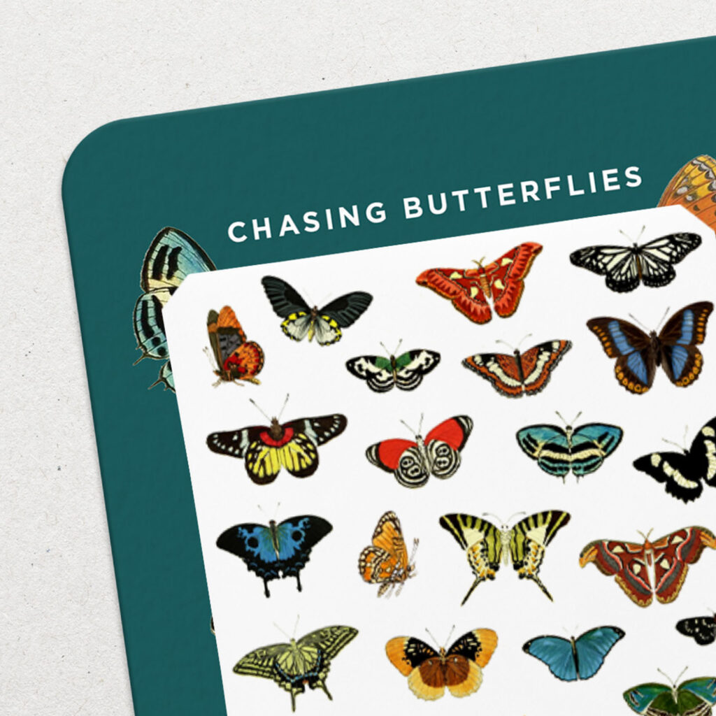 chasing-butterflies-odine-nails